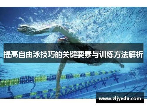 提高自由泳技巧的关键要素与训练方法解析