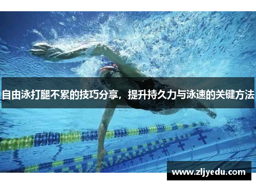 自由泳打腿不累的技巧分享，提升持久力与泳速的关键方法