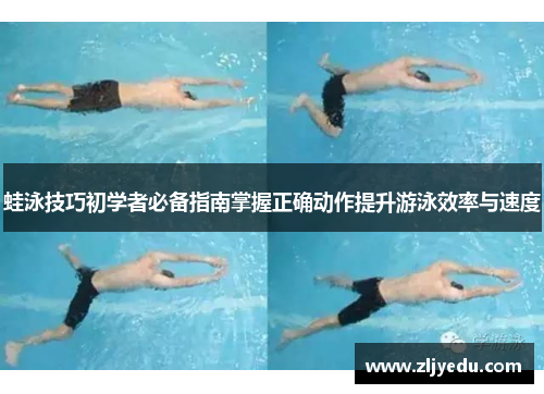 蛙泳技巧初学者必备指南掌握正确动作提升游泳效率与速度