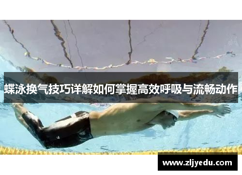 蝶泳换气技巧详解如何掌握高效呼吸与流畅动作