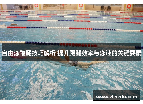 自由泳鞭腿技巧解析 提升踢腿效率与泳速的关键要素