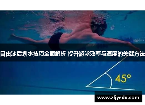 自由泳后划水技巧全面解析 提升游泳效率与速度的关键方法